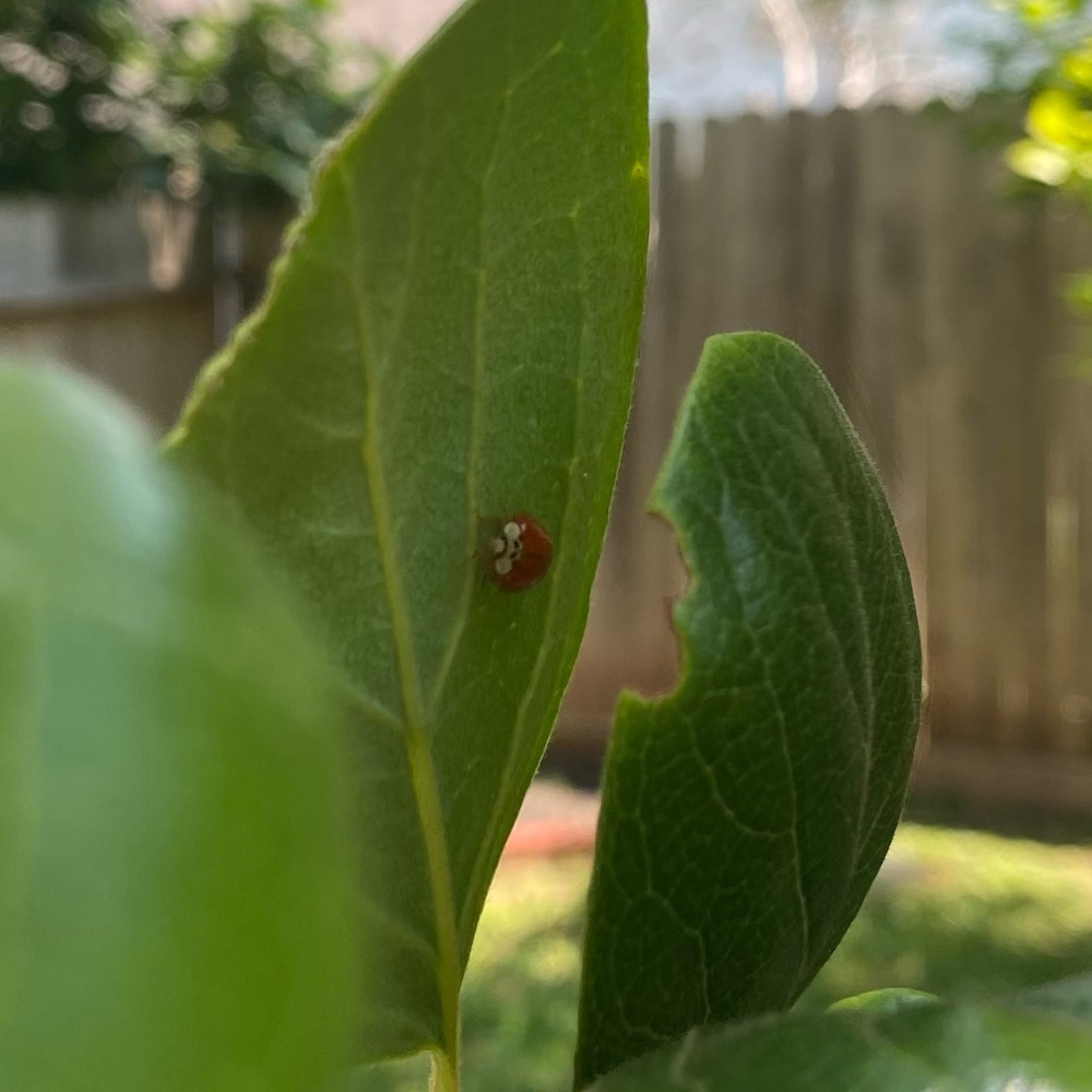 Meet your Posher, Julia